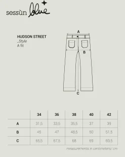 Hosen Sessùn |Hudson Street Fox